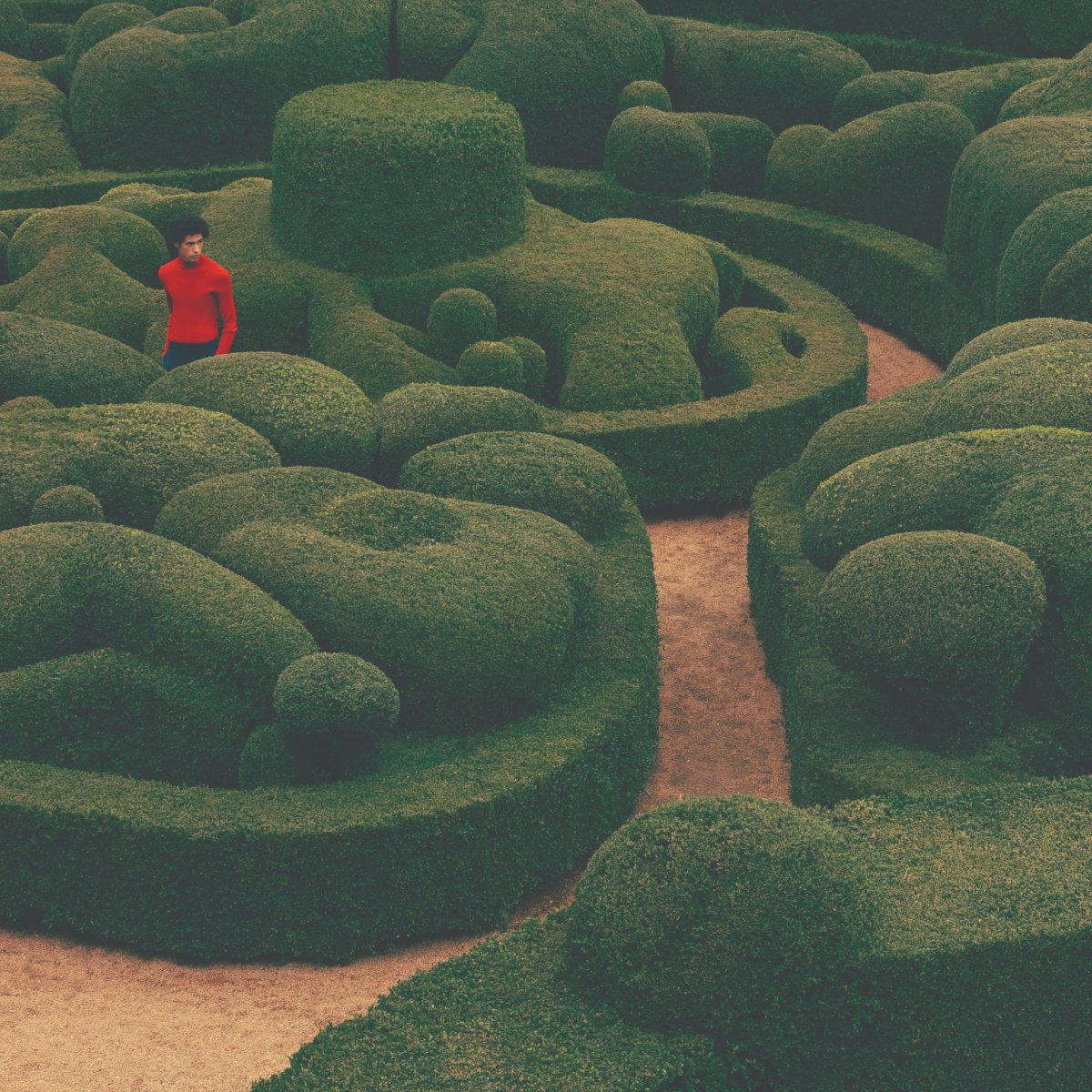 [Hand Cream] Splendor in the Grass