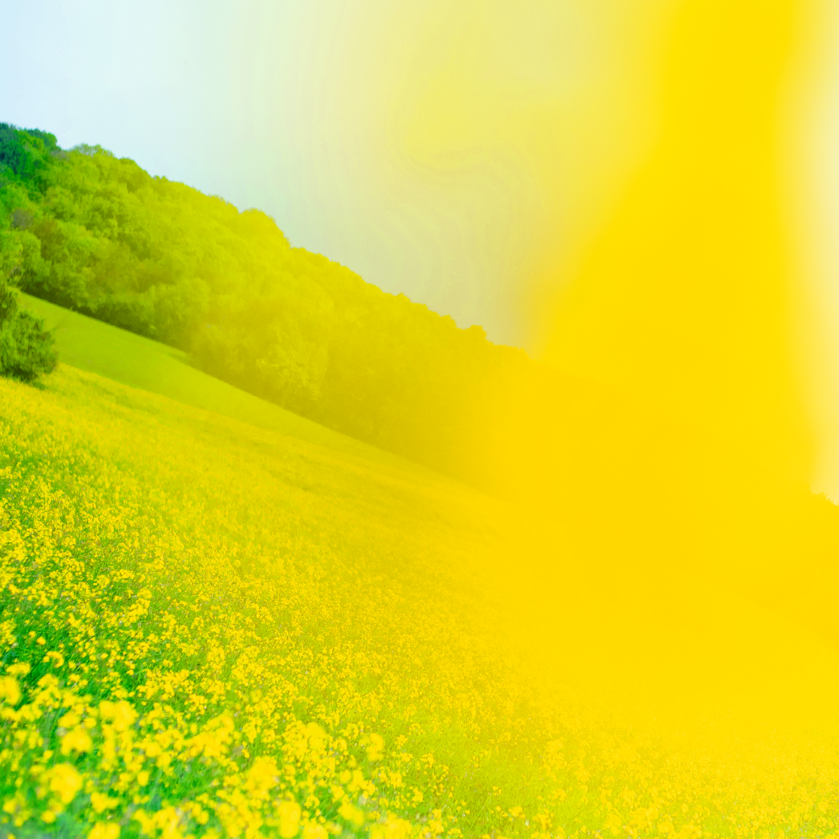 [Diffuser] Mystic Road