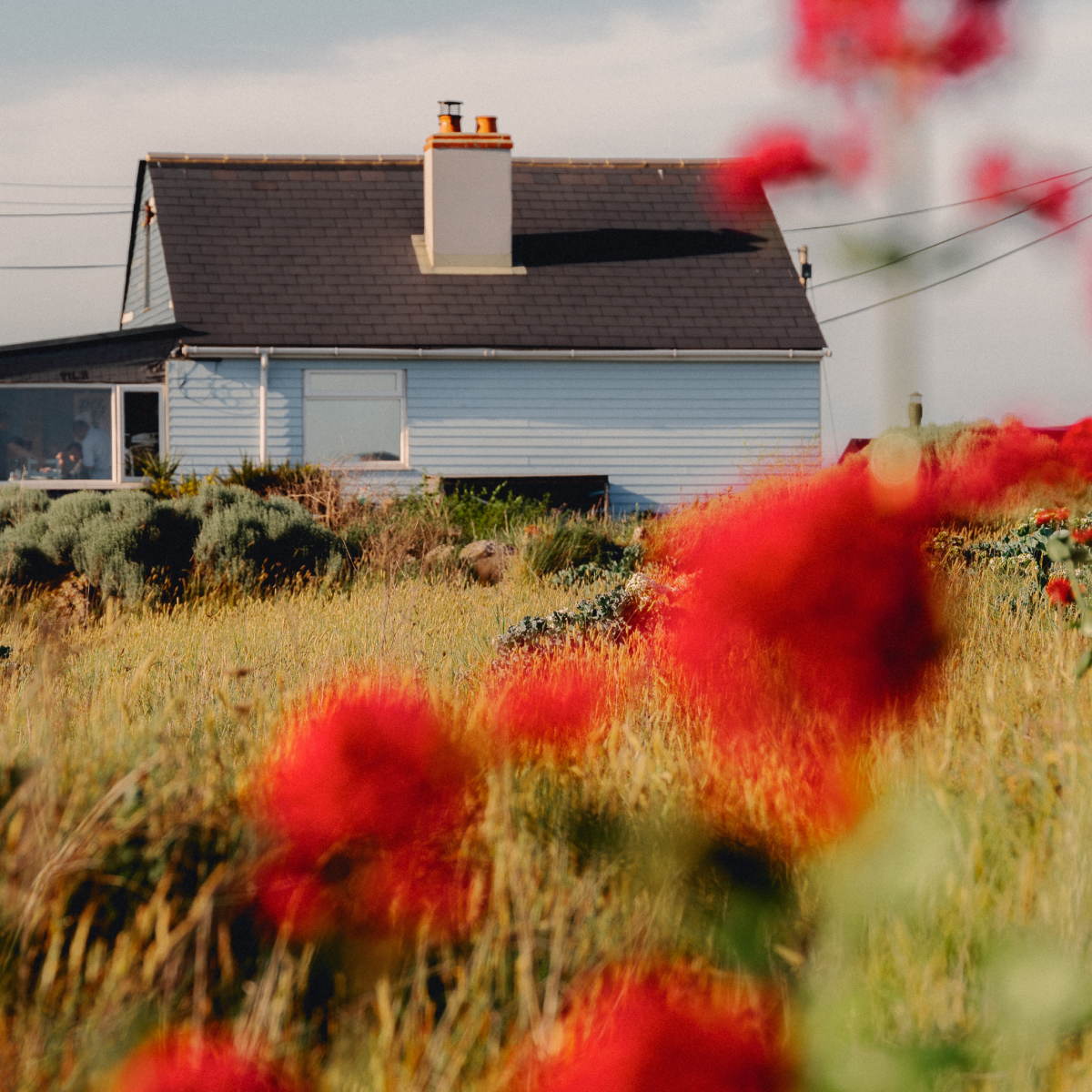 [Diffuser] Strawberry Fields